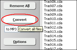 Click Convert